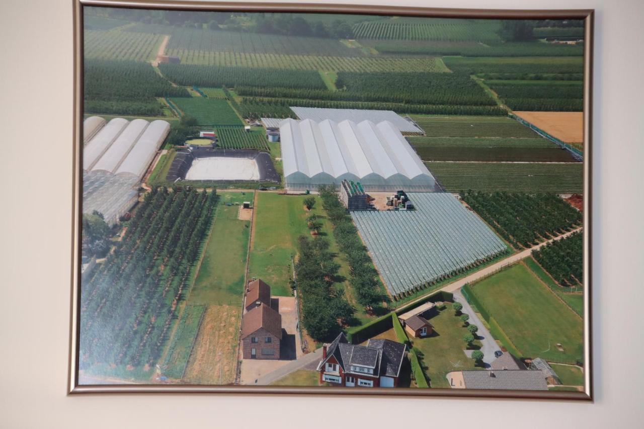 Ferienwohnung Juwel Fruithof Zepperen Exterior foto