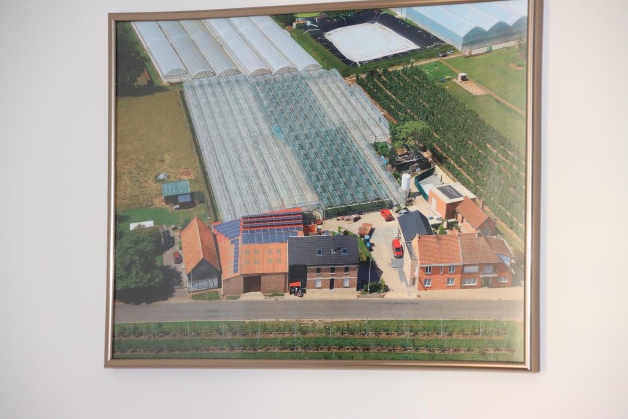 Ferienwohnung Juwel Fruithof Zepperen Exterior foto
