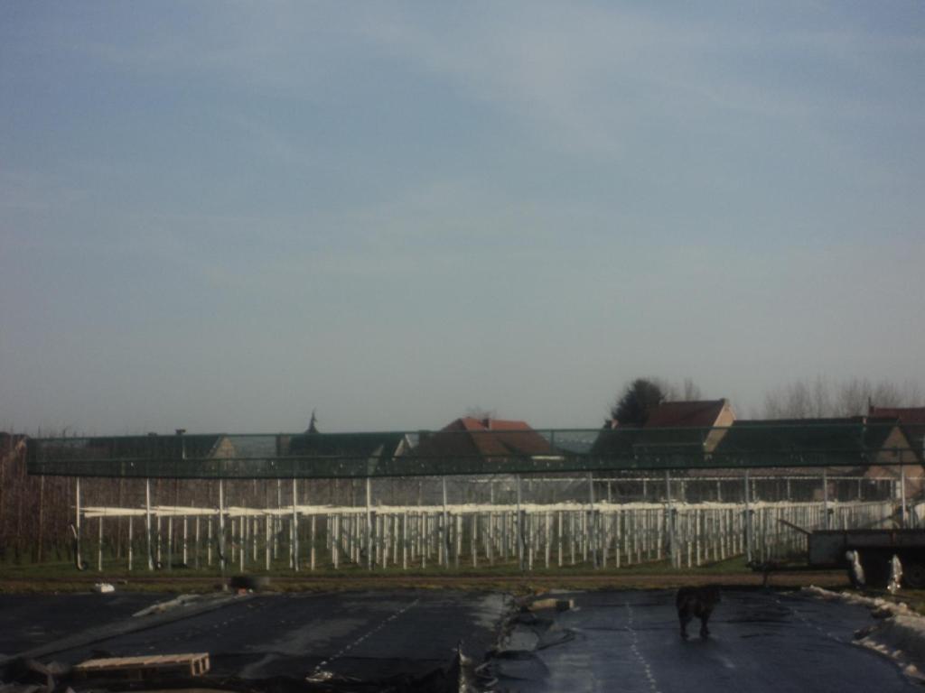 Ferienwohnung Juwel Fruithof Zepperen Zimmer foto
